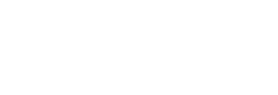 Logo missão sdc